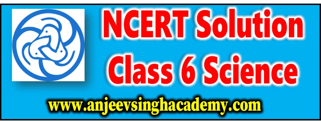ncert solution class 6 science