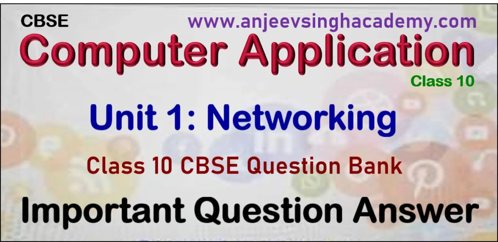 Class 10 Computer Application 165 Unit 1 Networking Important Queston Answer