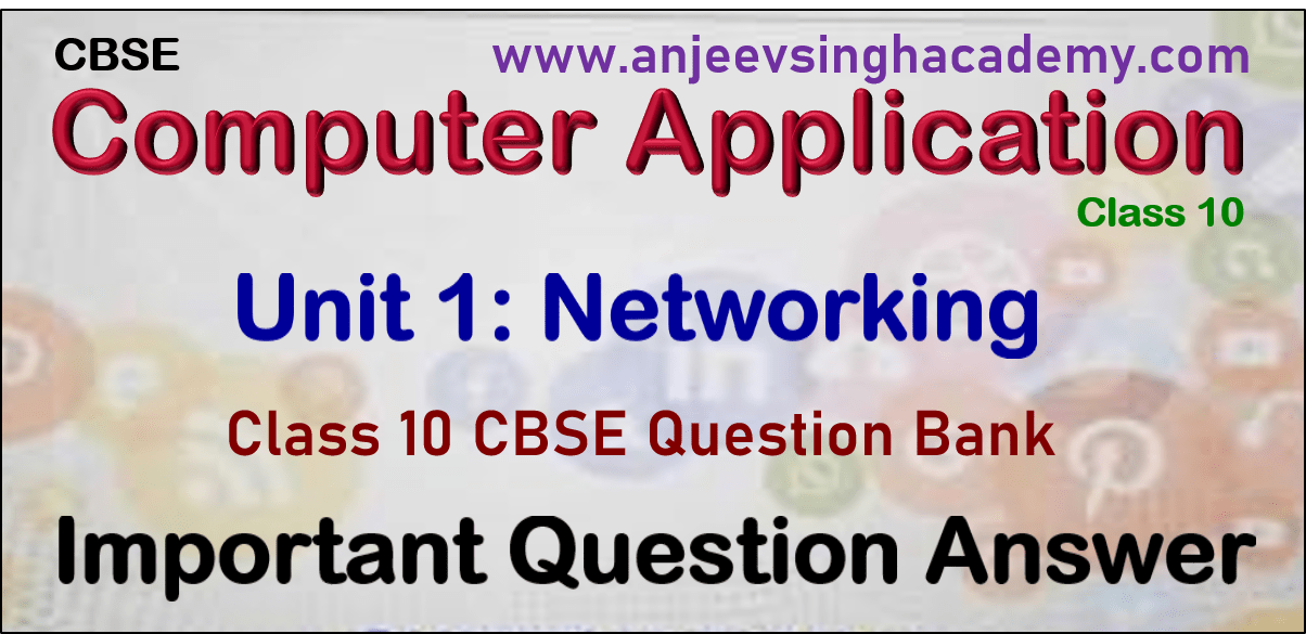 Class 10 Computer Application 165 Unit 1 Networking Important Question ...