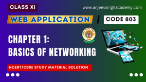 XI Web Application 803 Ch 1 Basics of Networking CBSE Book Solution